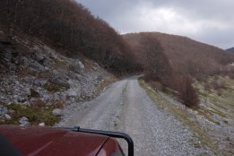 DSC1 (46).jpg